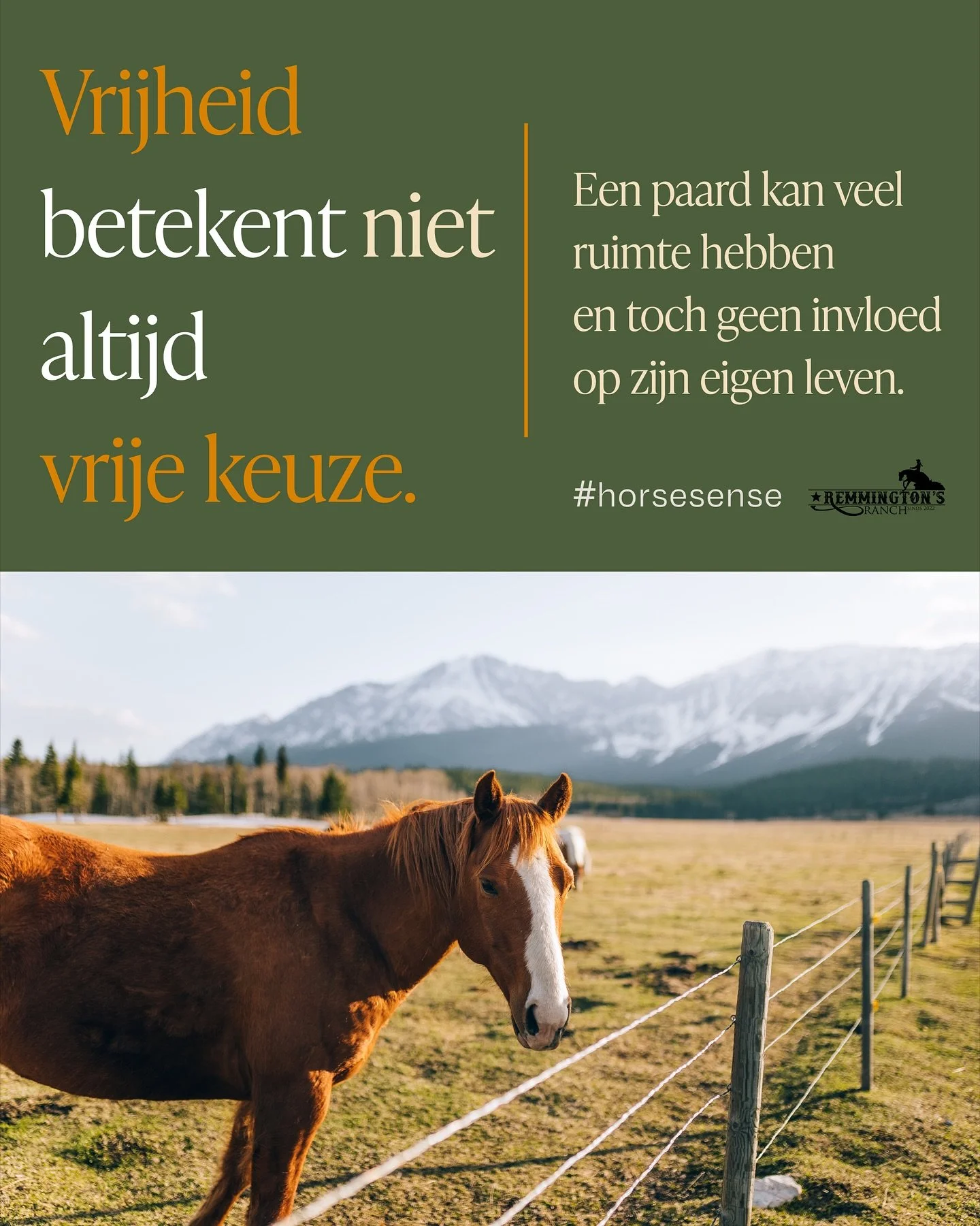 Vrijheid lijkt vanzelfsprekend.
Maar veel paarden leven in een systeem
waar elke keuze voor hen wordt gemaakt.

Ze mogen eten als wij voeren.
Rust nemen als wij het toelaten.
Bewegen binnen grenzen die wij bepalen.

Echte vrijheid begint niet bij rui