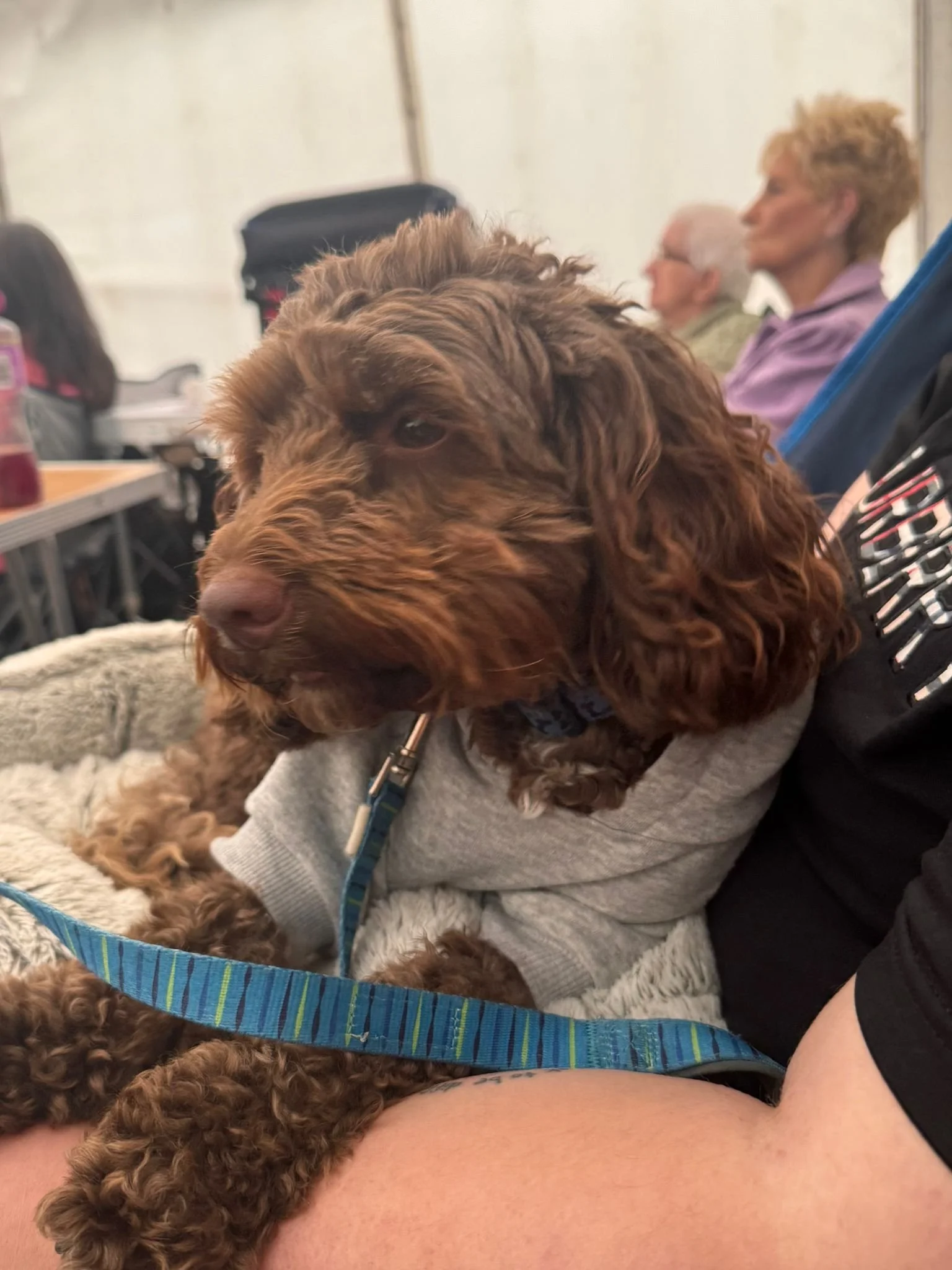 WhatsApp Image 2025-09-06 at 22.28.44 (7).jpeg