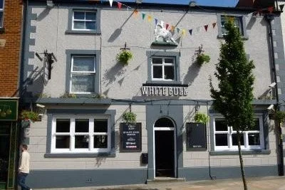 The White Bull
