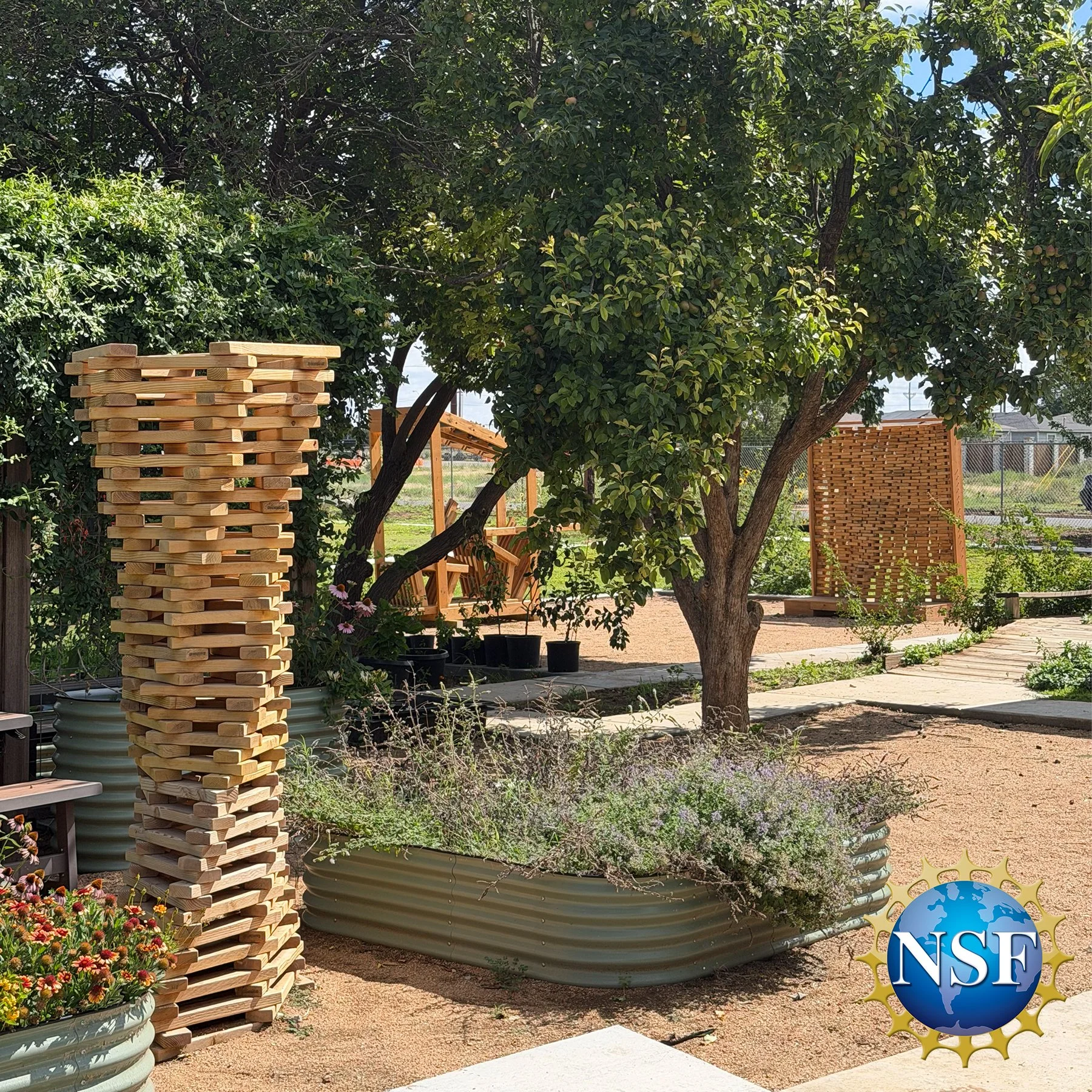 NSF - Co-DREAM Tech - ReDDoT project