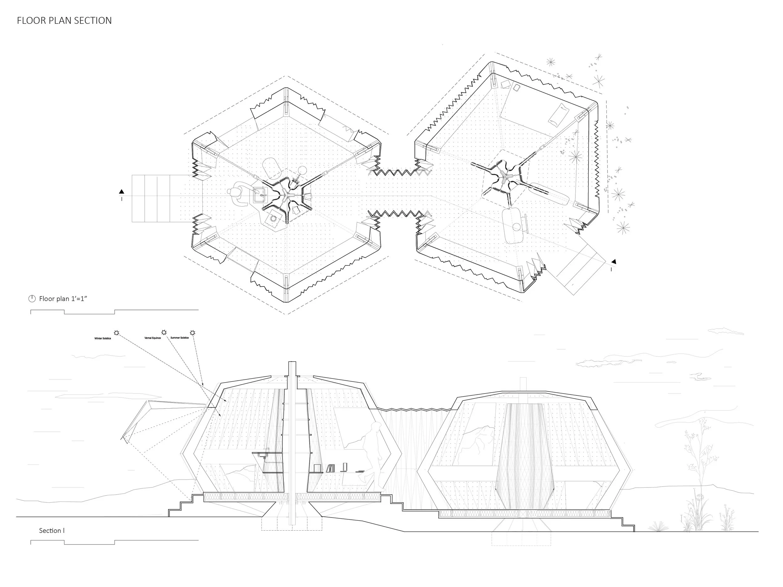 PLAN + SECTION.jpg