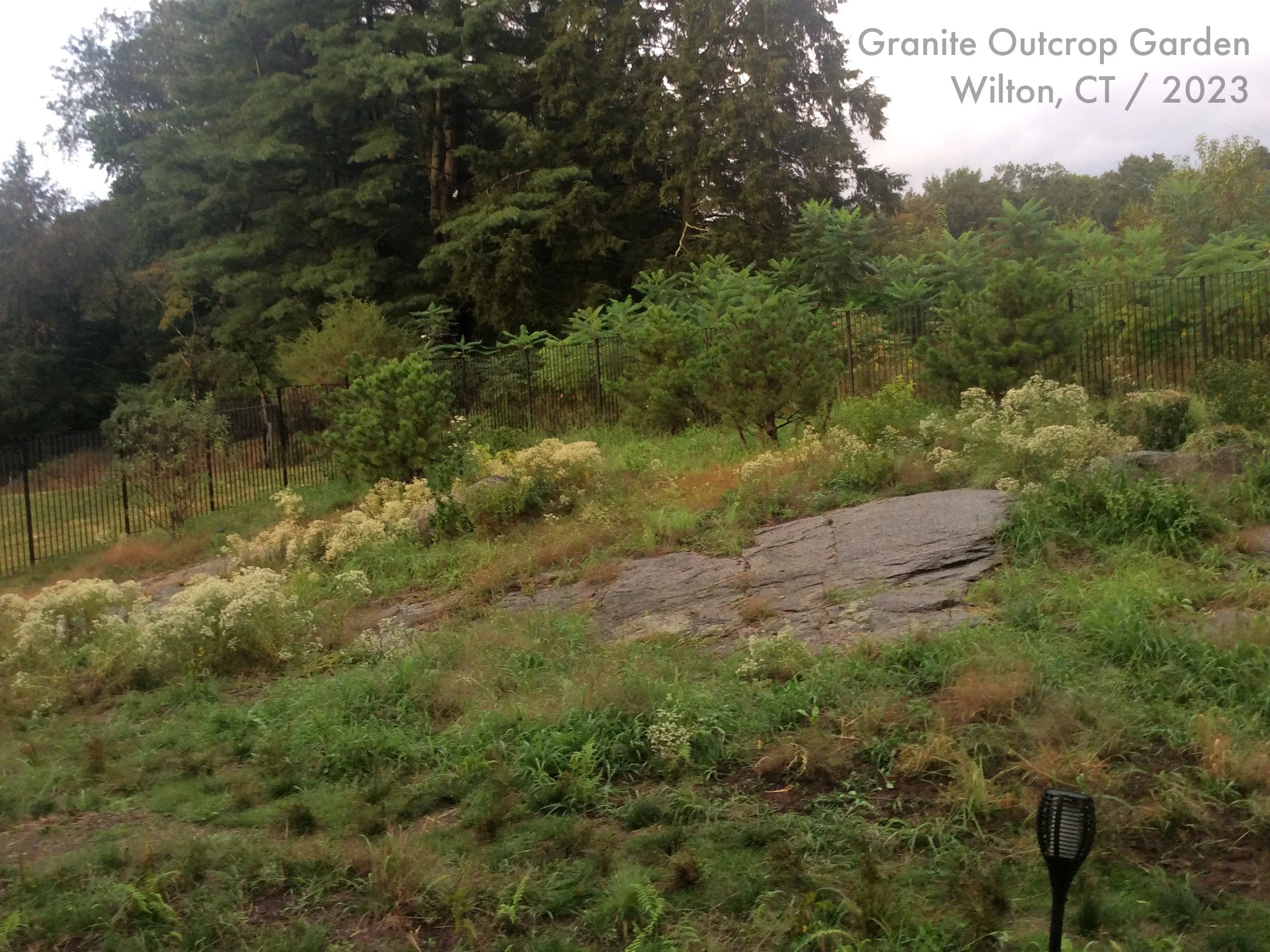 GraniteOutcropGarden-DarrelMorrison-2023-CT-IMG_2430.jpg