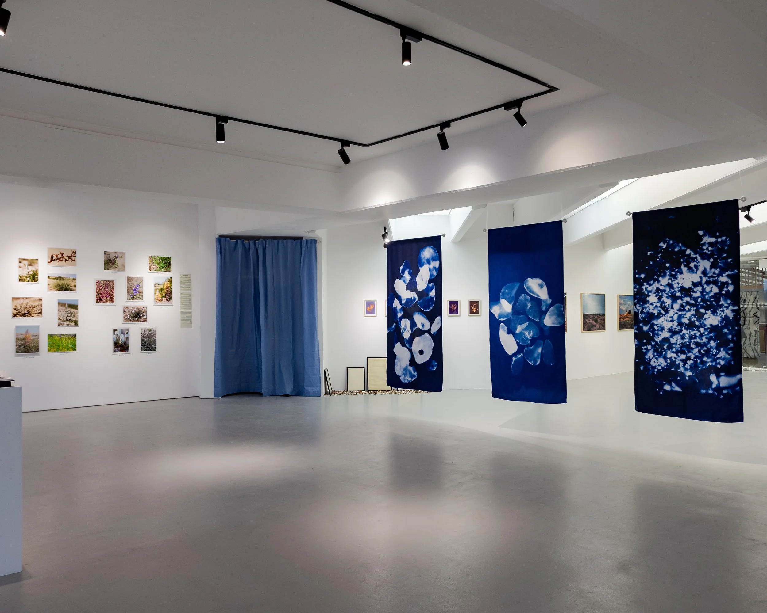 Celine Pilch and Hayat