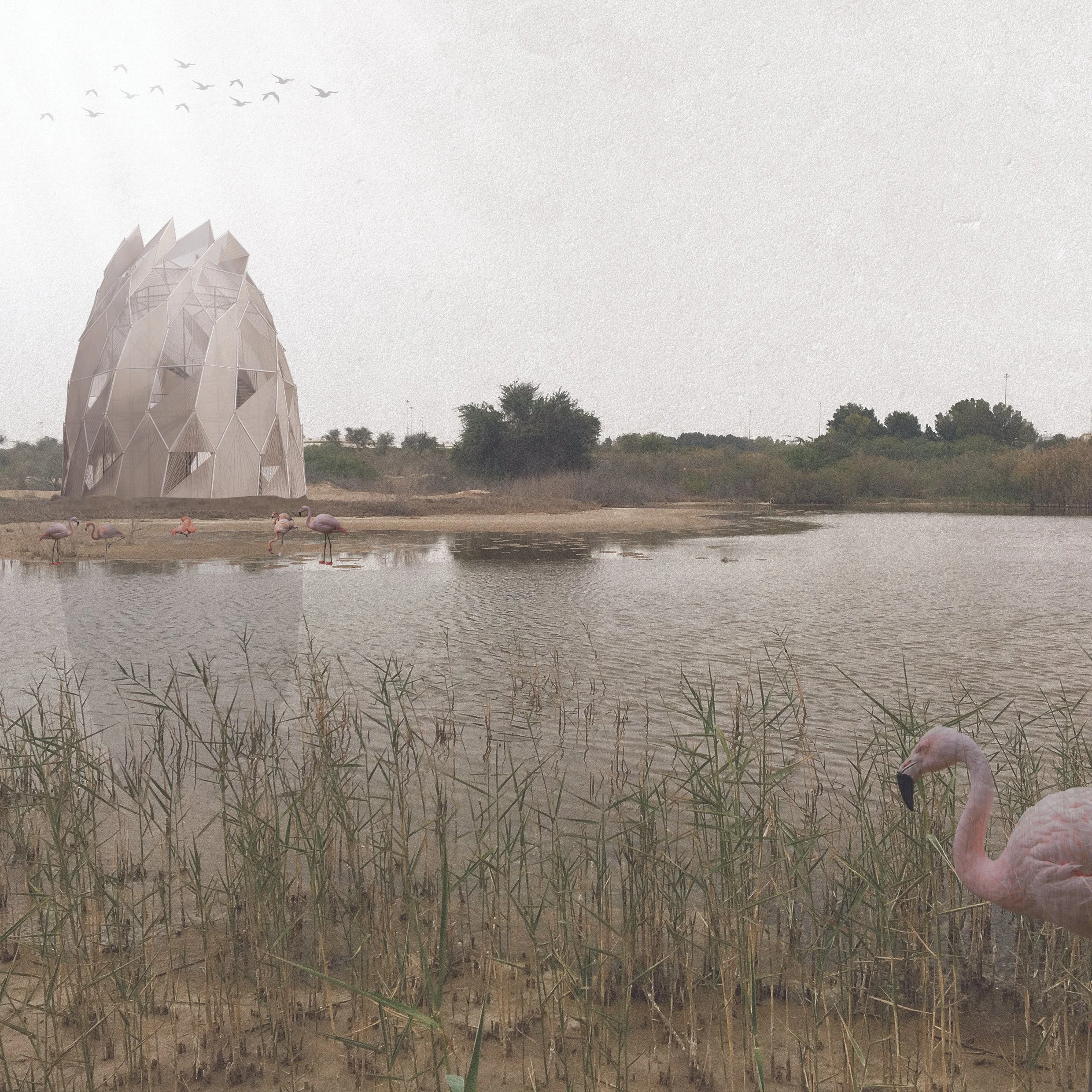 Transpire_Bird Observatory.jpg