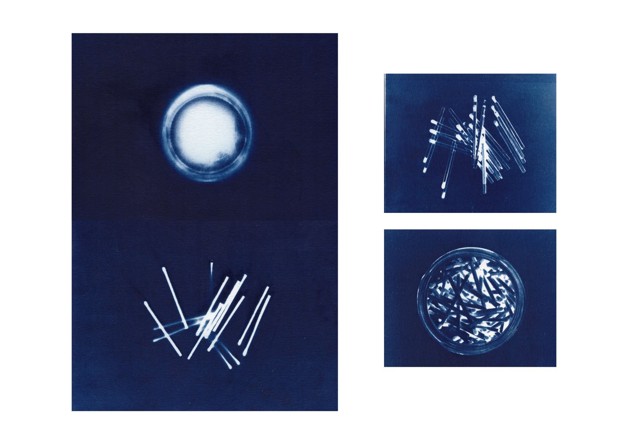 Celine_Pilch_present_or_absent_cyanotype_Germany_2024.jpg