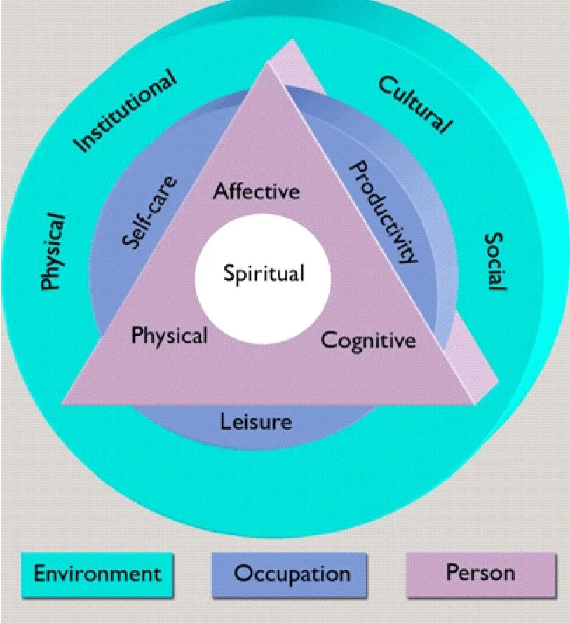A diagram showing a person's well-being as a triangle with spiritual at the center and physical, cognitive, and affective areas. The triangle is surrounded by a colored ring divided into environment, occupation, and person layers, indicating different aspects impacting well-being.