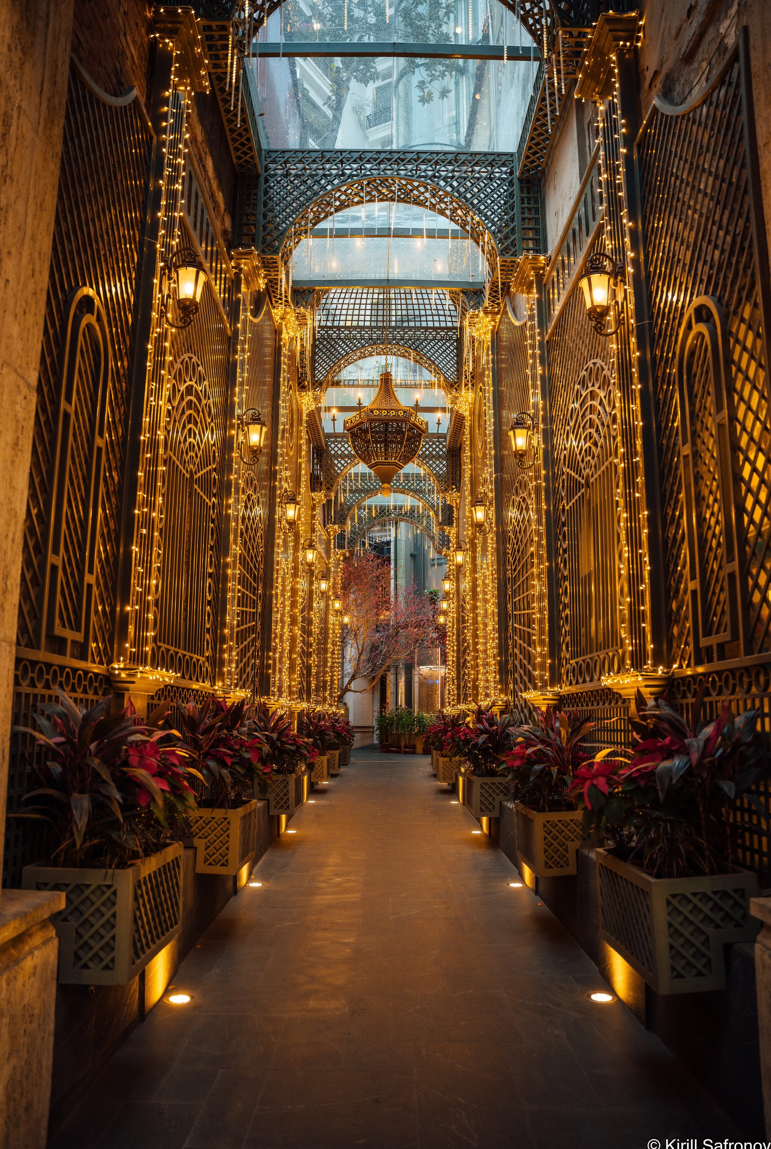 Photo of an elegant hallway decorated with warm golden string lights, wall lamps, black metal ceiling structures, potted plants, and a hanging chandelier, creating a cozy, stylish, and luxurious interior atmosphere.
