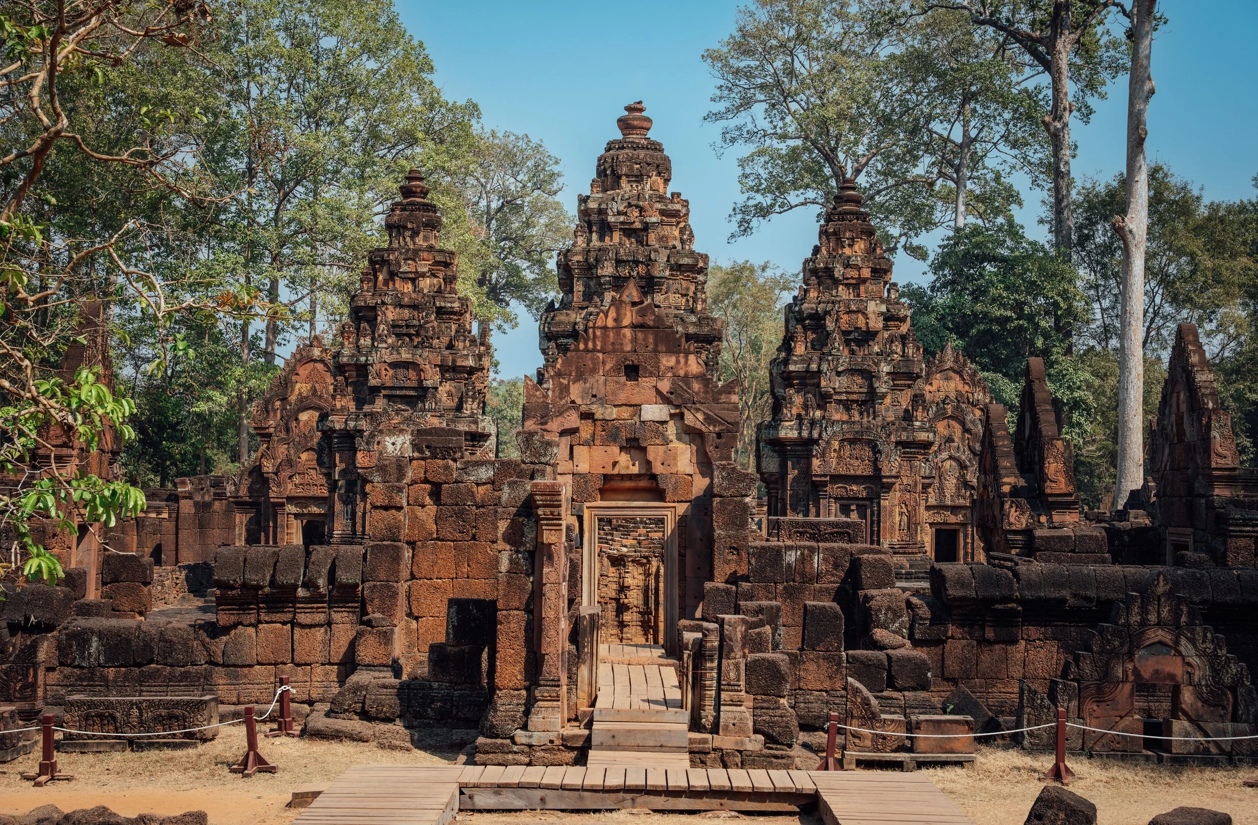 photo of ancient stone temple ruins hidden in a dense forest with tall trees and a clear blue sky
