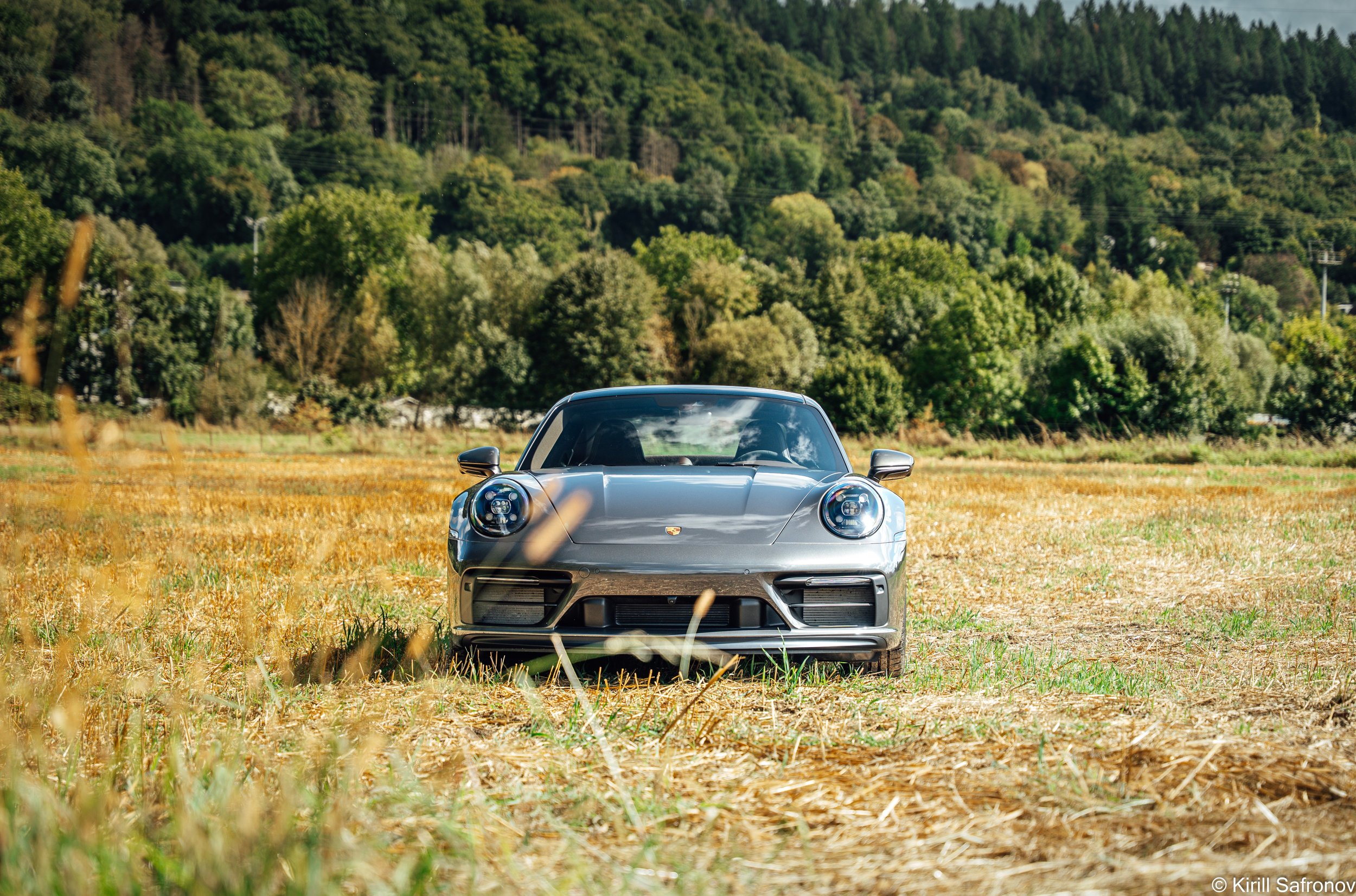 A champagne Porsche 911 Carrera GTS parked in a field of golden yellow grass, with a vibrant green forest creating a natural automotive photography backdrop.