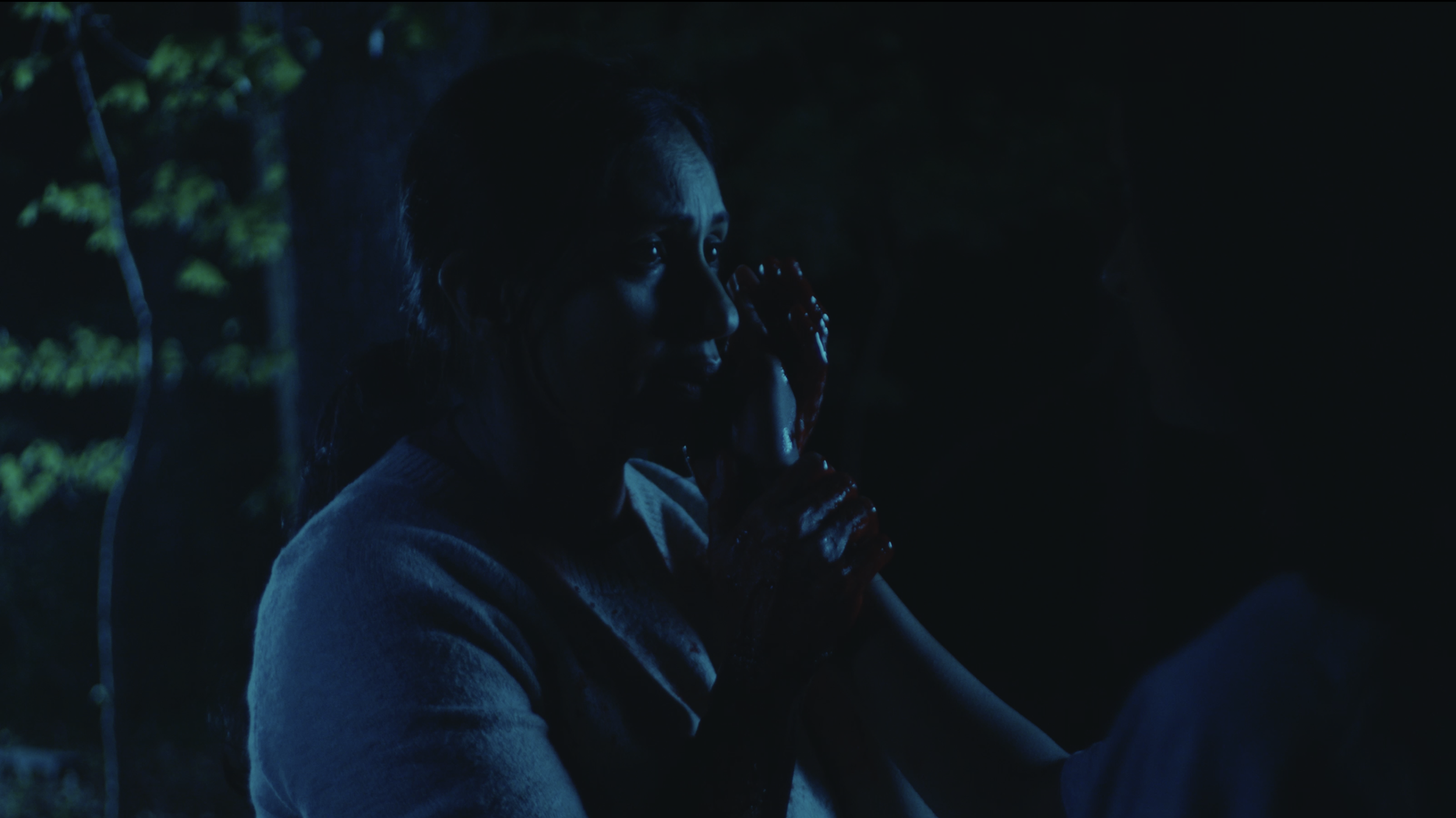 WHERE DEER GO TO DIE