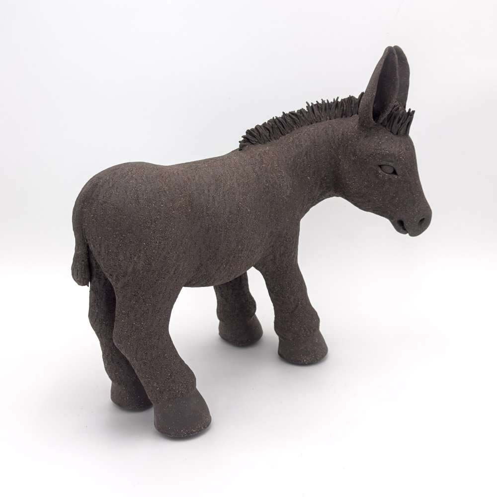 donkey2026-4.jpg