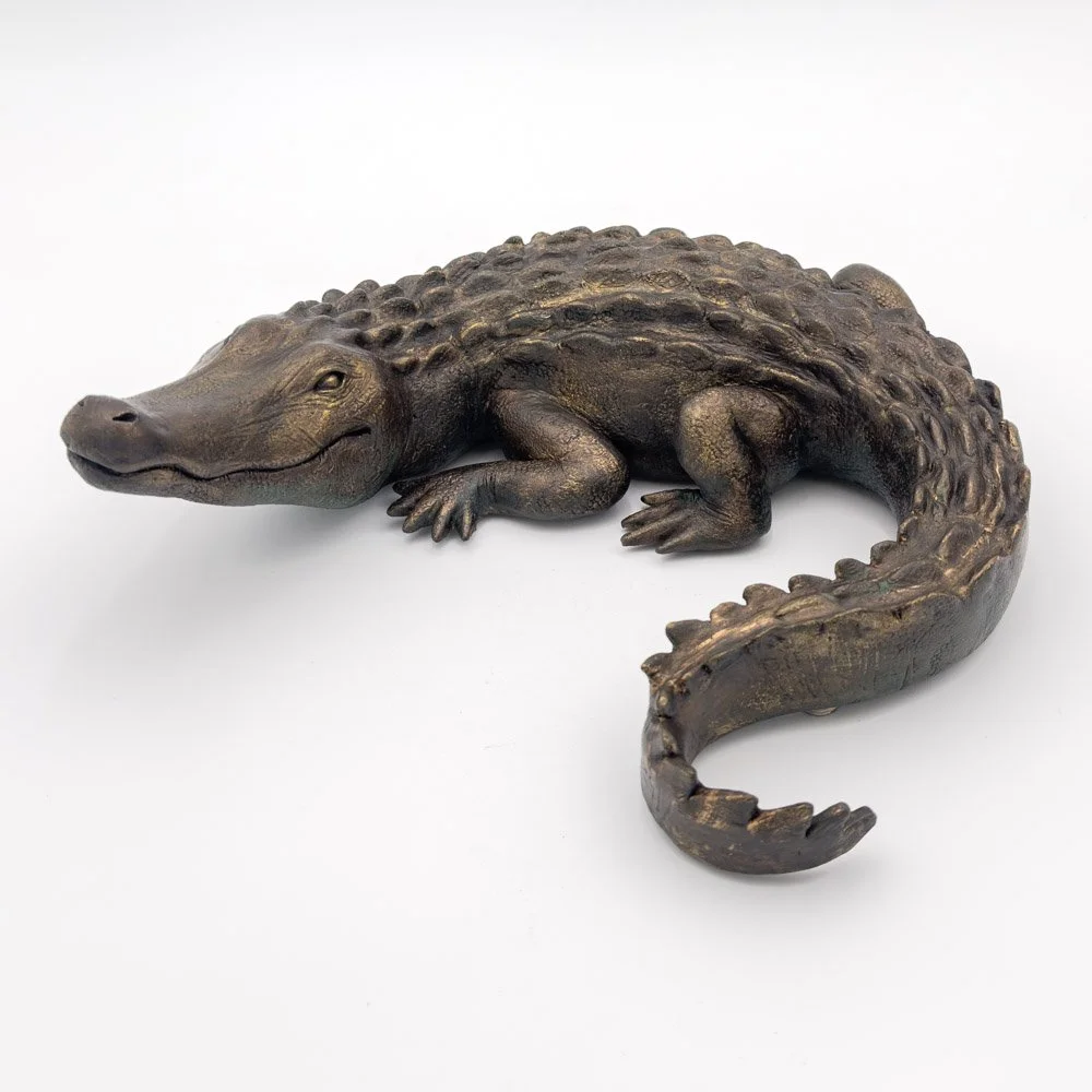 Alligator2026-4.jpg