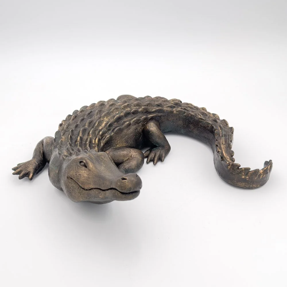 Alligator2026-1.jpg