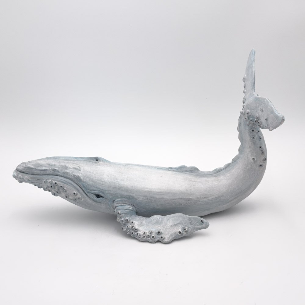 Whale2026-4.jpg