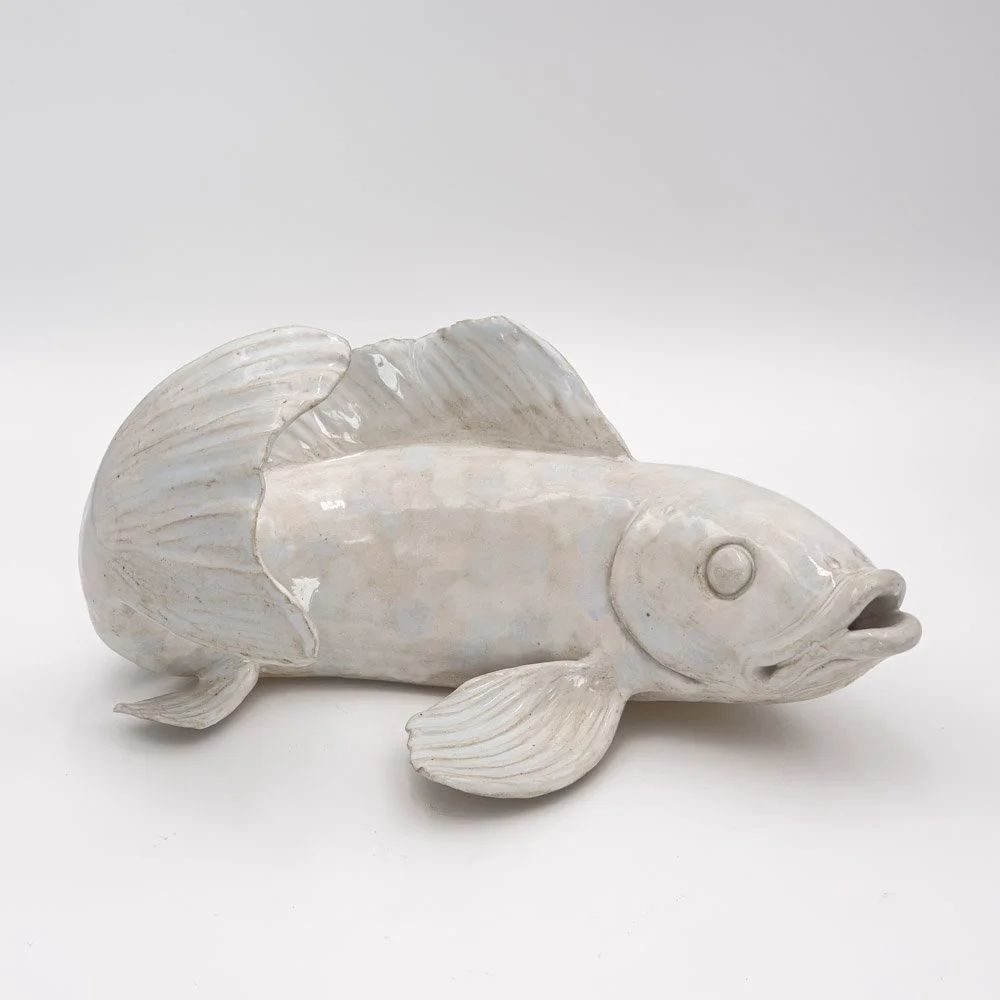 PaleColoredFish-1.jpg