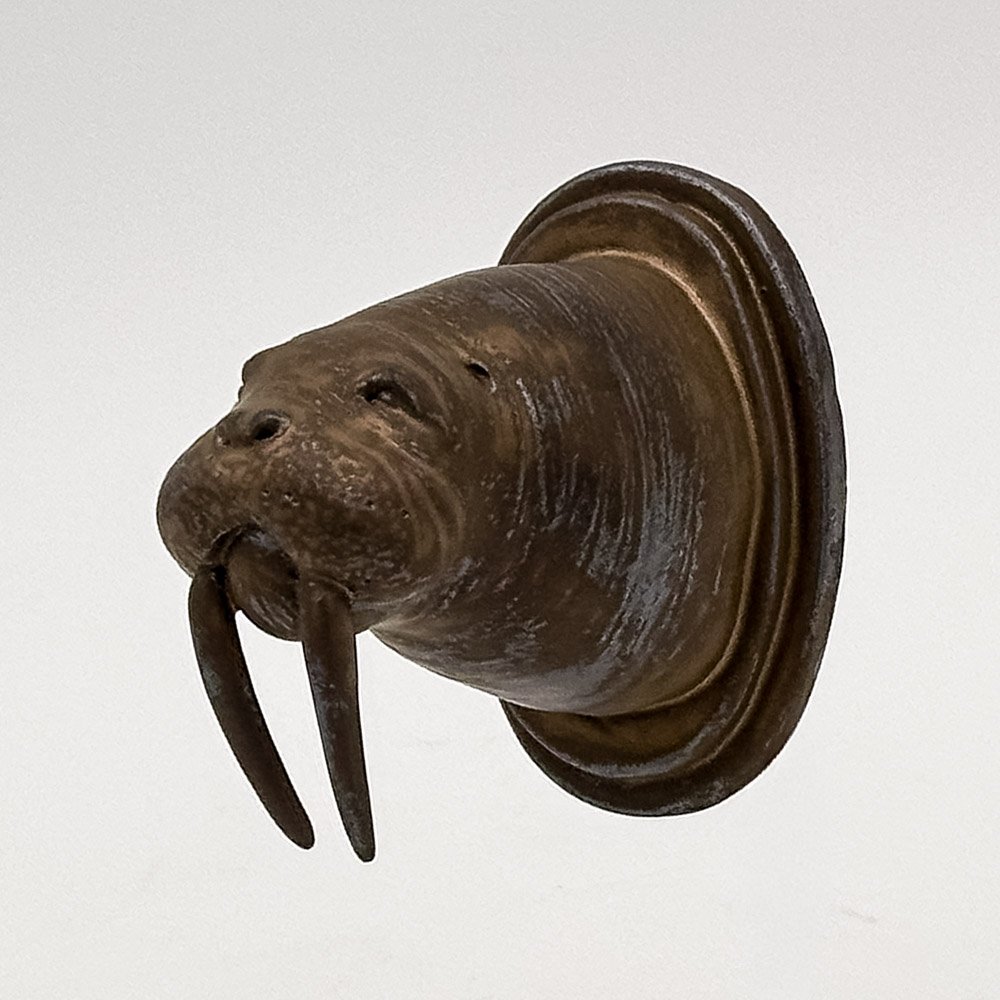 MiniMount-Walrus-1.jpg