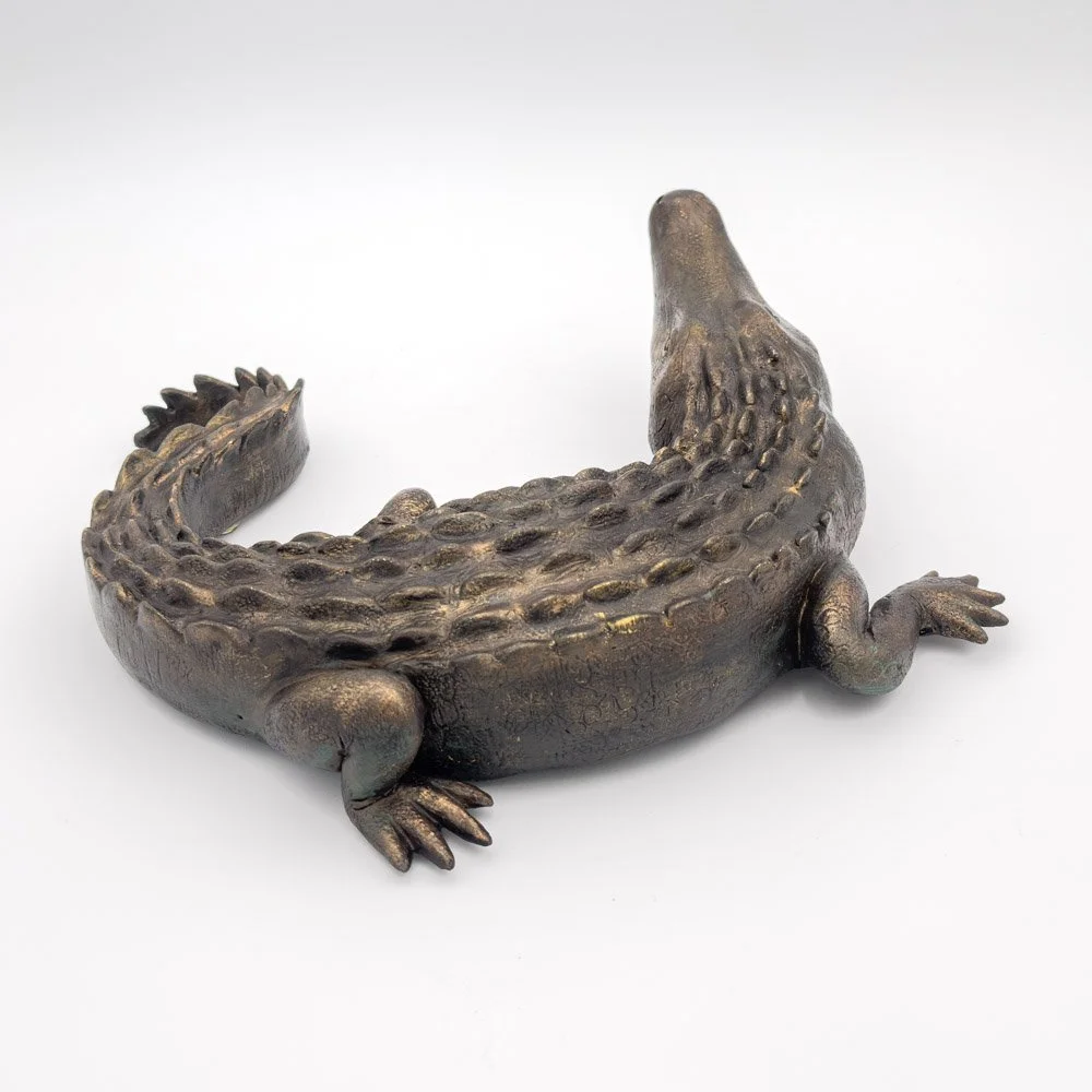 Alligator2026-3.jpg