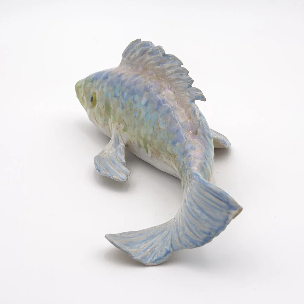 ColorFish-2.jpg