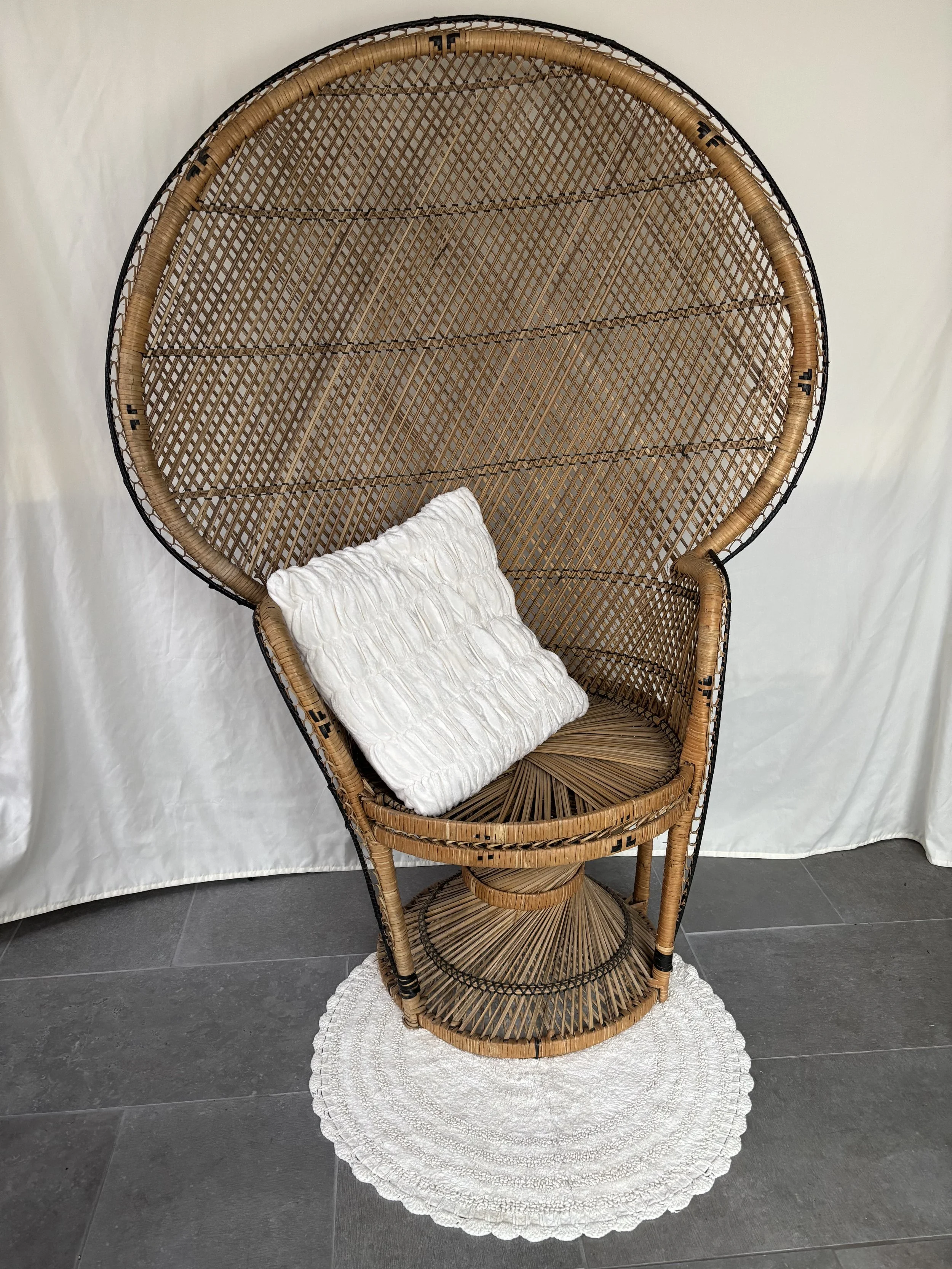 Large Peacock Chair - $40