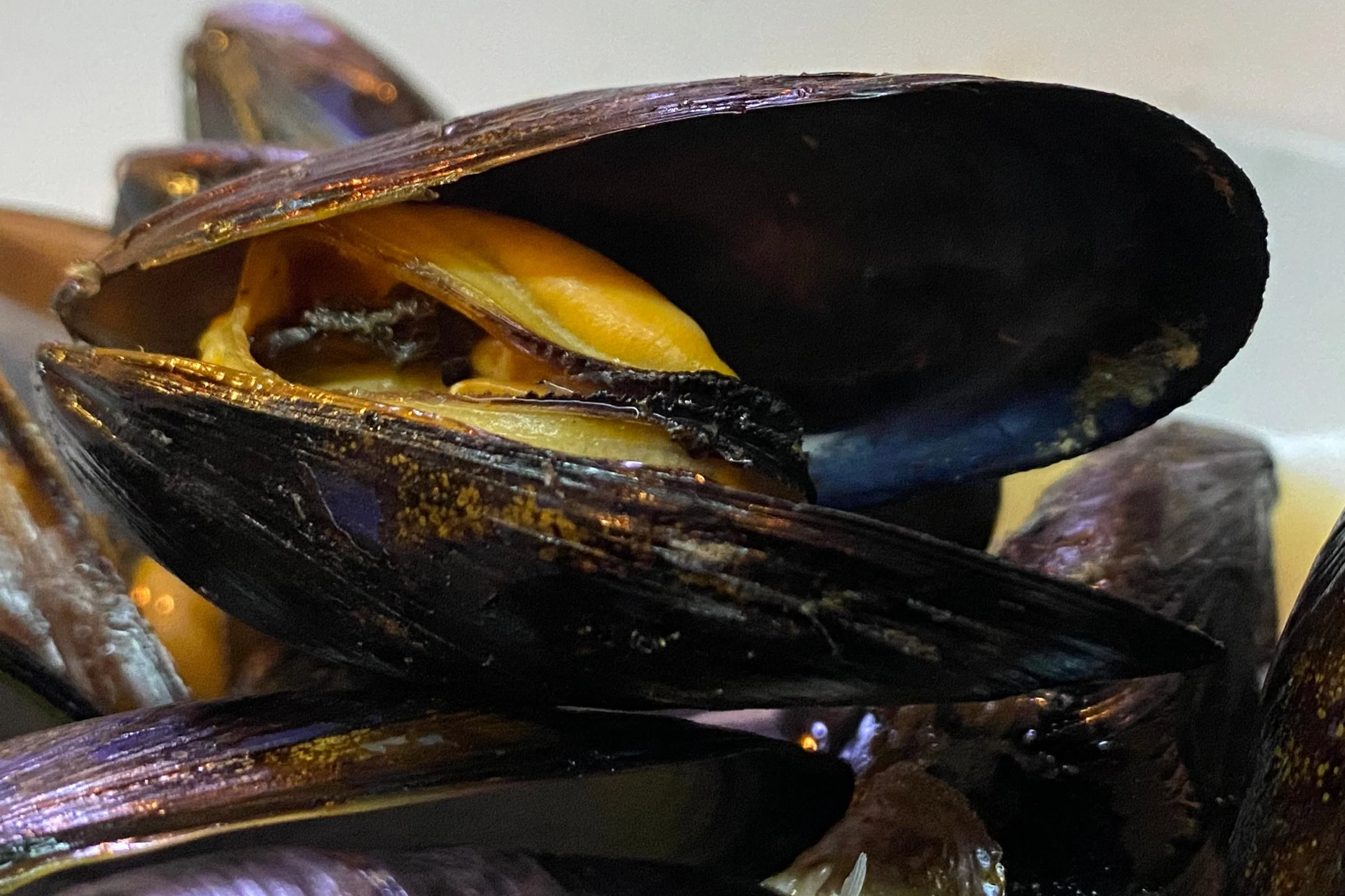 Mosselen eten – 19.10.2023