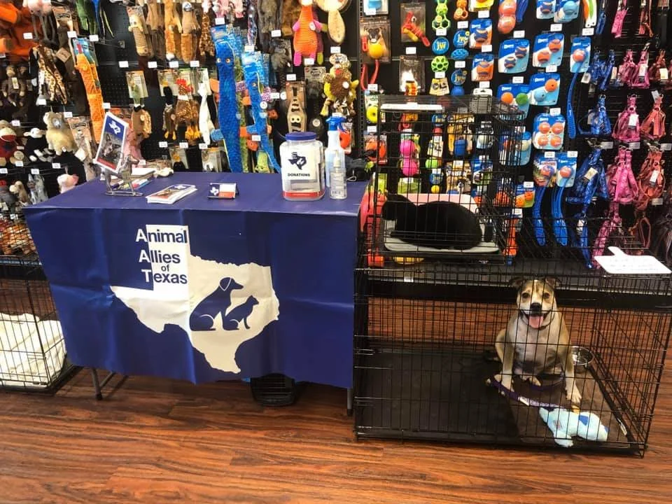 Animal Allies of Texas