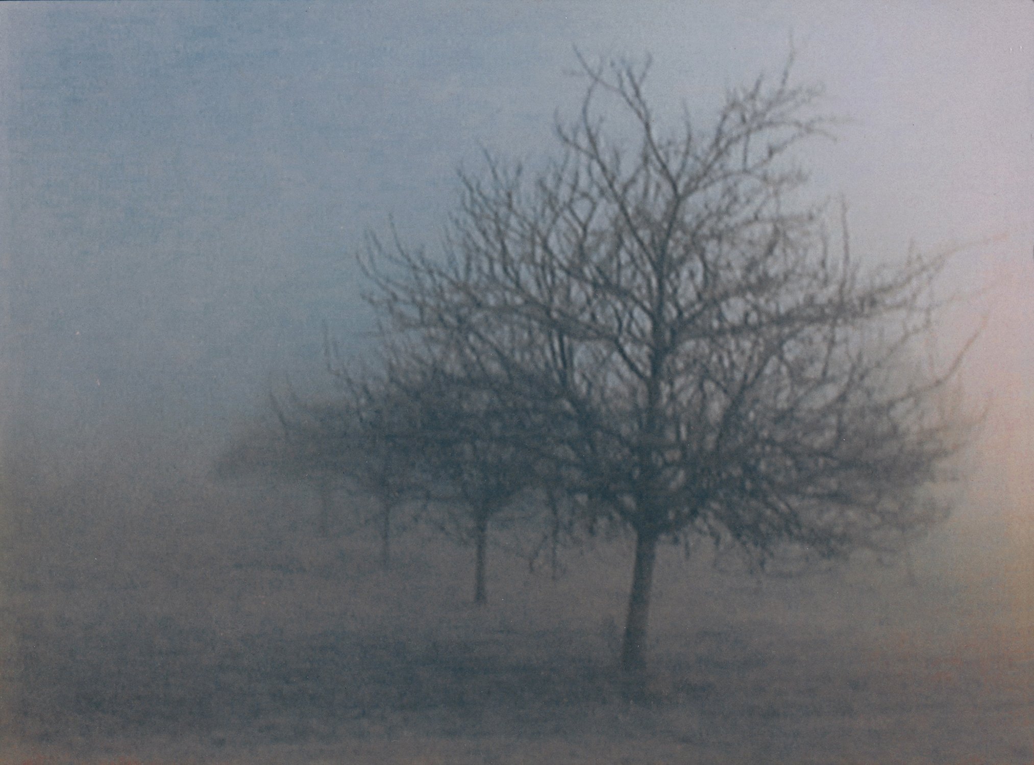 "Misty Morning" Apple QuickTake 200 (0.3 megapixels), Tricolor Cyanotype