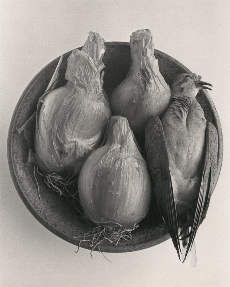Rondal Partridge, Bird and Onions, 1989. Platinum-palladium print on Arches Platine 145 gsm paper, from PiezoDN negative of 35mm original, 25.2 x 217.8 cm.