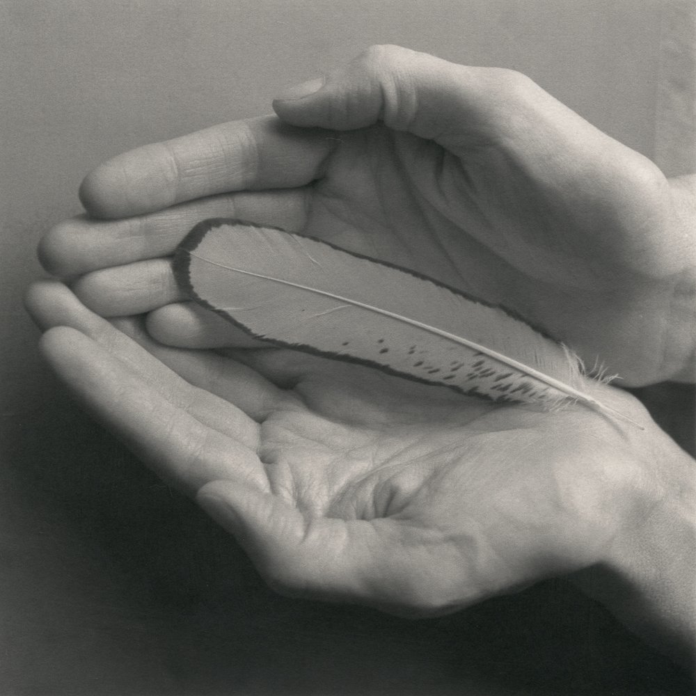 Rondal Partridge, Betsy’s Hands and Feather, 1989. Platinum-palladium print on Arches Platine 145 gsm paper, from PiezoDN negative of 6 x 6 cm. original, H x W cm.