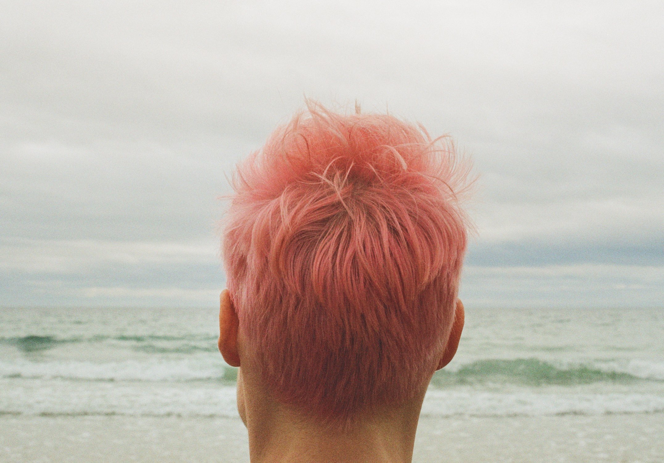 "Tilly looking out to sea"