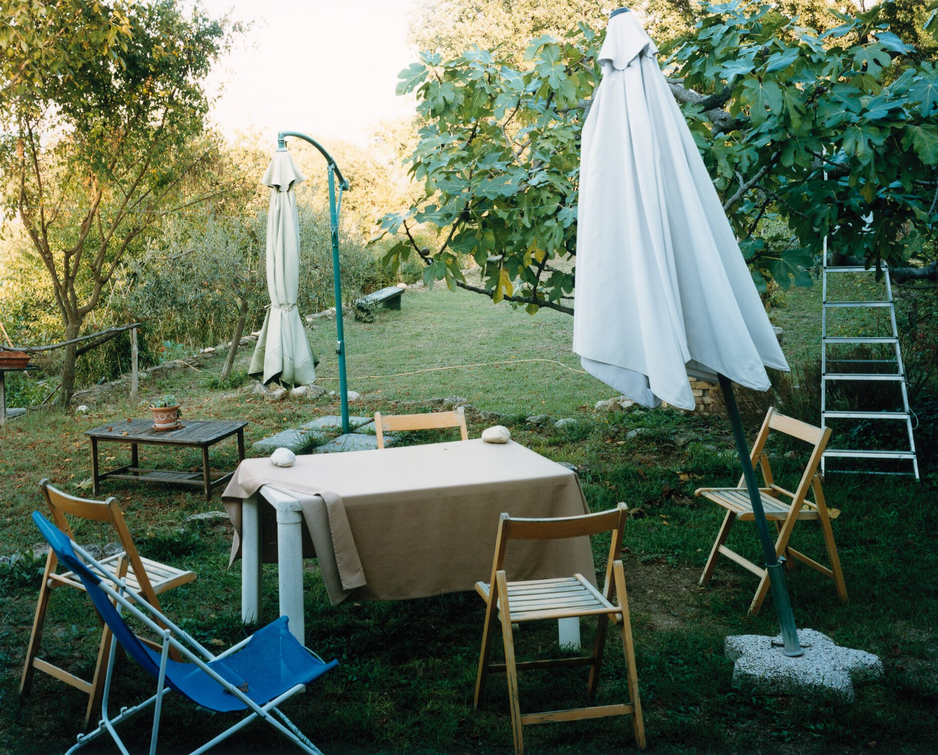 “Getting Ready for a Family Dinner” by Matteo Di Giovanni | Chamonix H1 4x5" or Mamiya 7ii, Kodak Portra 160/400 Film