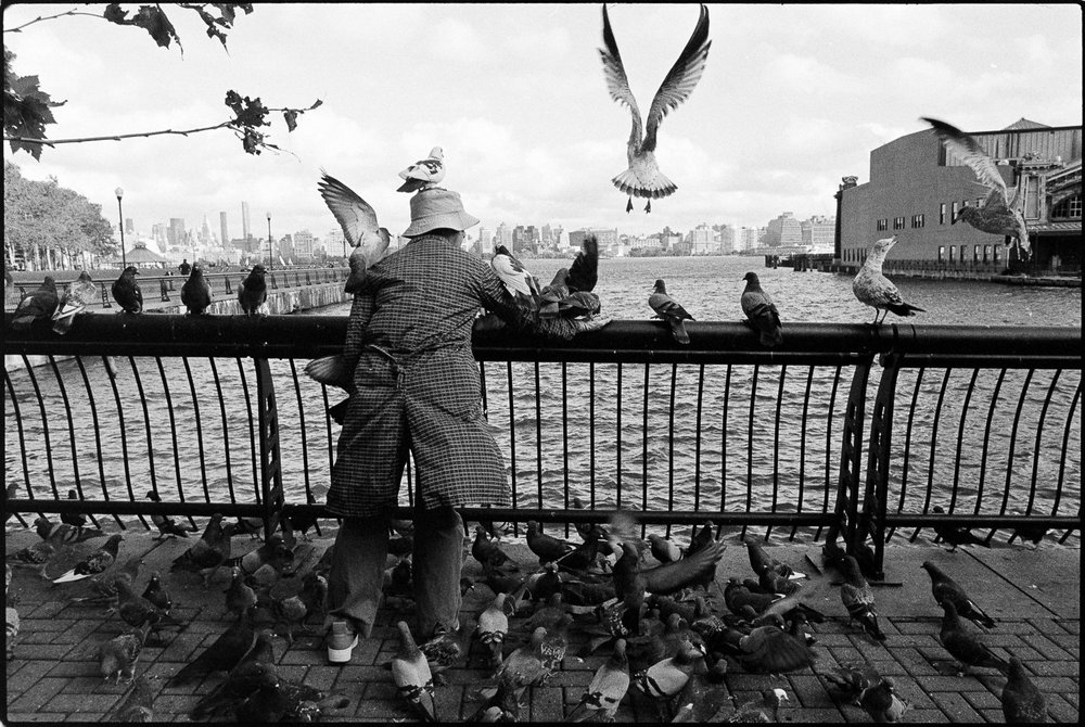 "Hoboken Bird Lady" by Robert Guanci