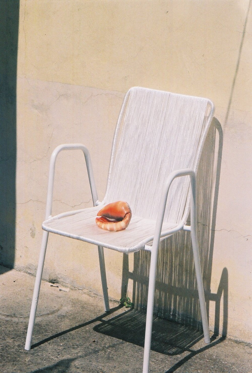 “Seashell on a rope chair” by Marina Danic