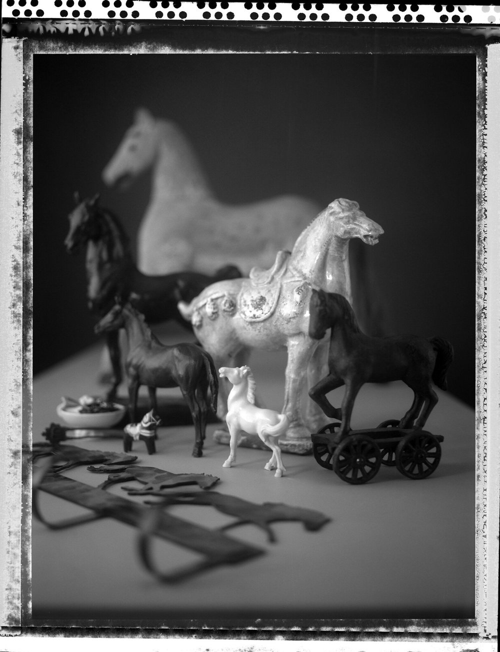 “Horses for Stacey” by Patrick J Clarke