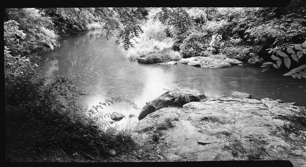 “Eno River-Riverwalk Turn” by Holden Richards