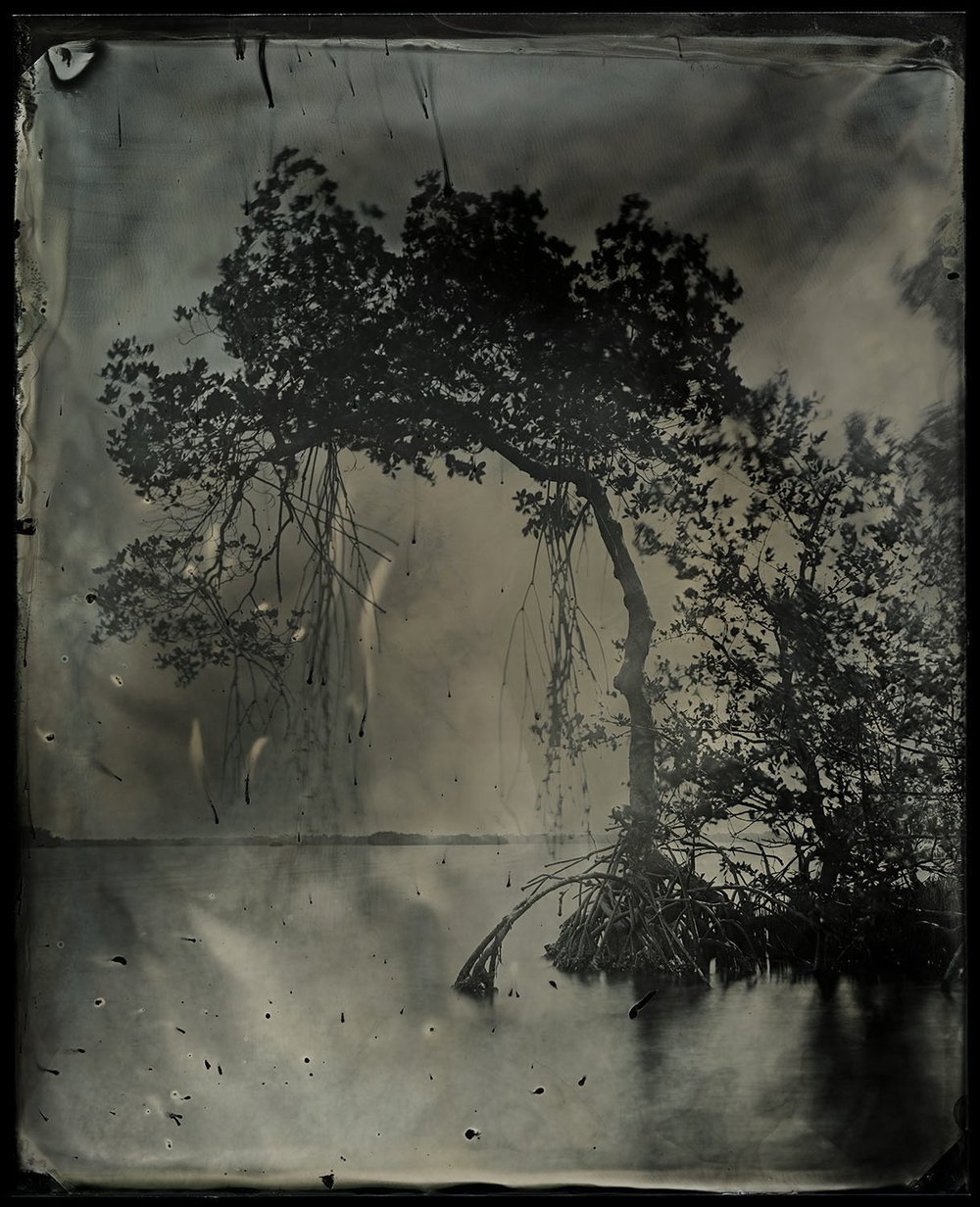 "Pine Island Sound, study no. 43" by Cecilia Montalvo