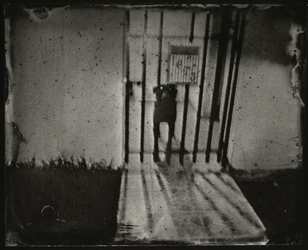 From the series “Bedtime stories," "The Black Dog” by Odette Barajas