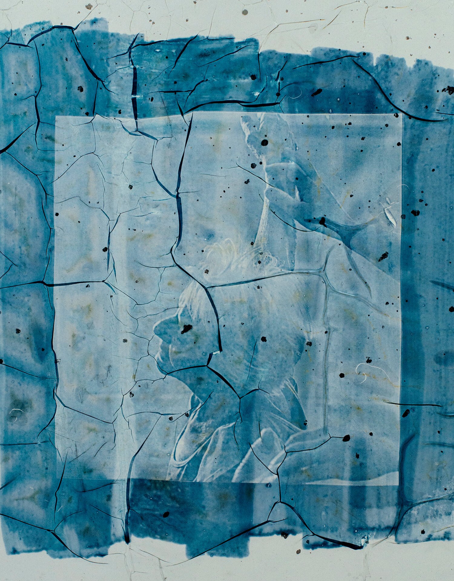5 Artists who Celebrate the Cyanotype - Hundred Heroines