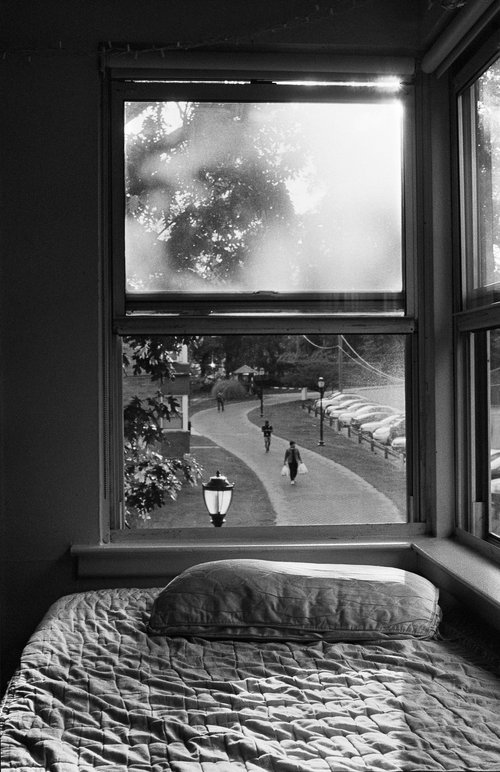 "Through the Bedroom Window" by Emily Rena Williams