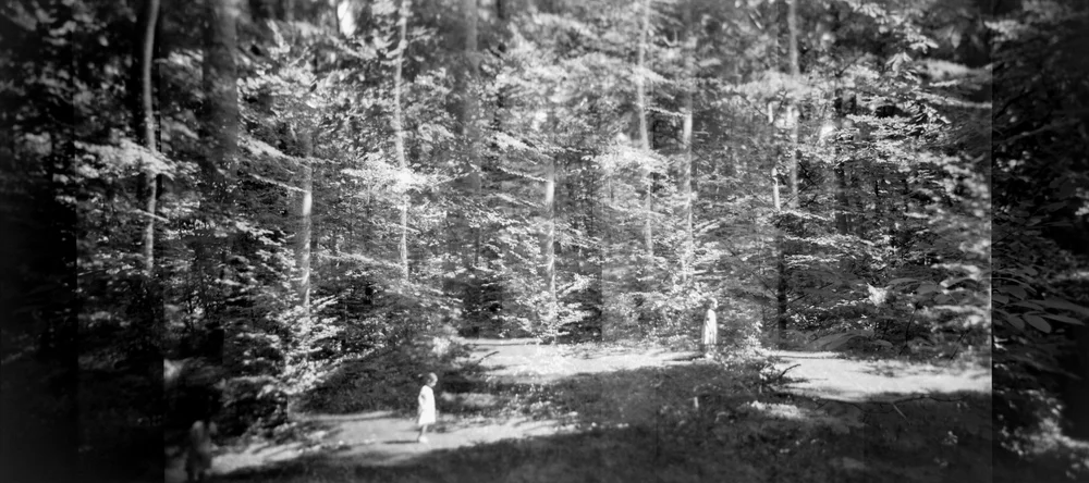 “Multiple Trees III – Dancing in the woods.” by Sabine Kranich-V