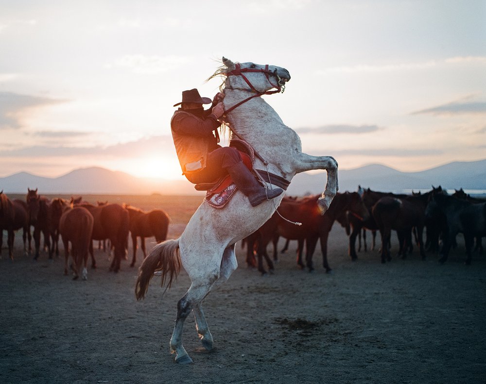 "A Turkish horseman prancing his horse while herding wild horses during sunset, in the outskirts of Kayseri" by Mert Berdilek