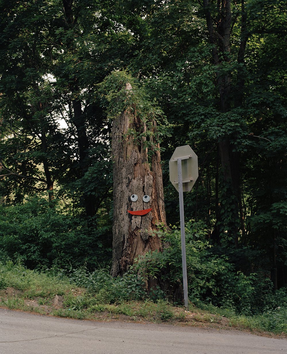 "Roadside Smile, Garrison, NY, 2023" by Dana Stirling