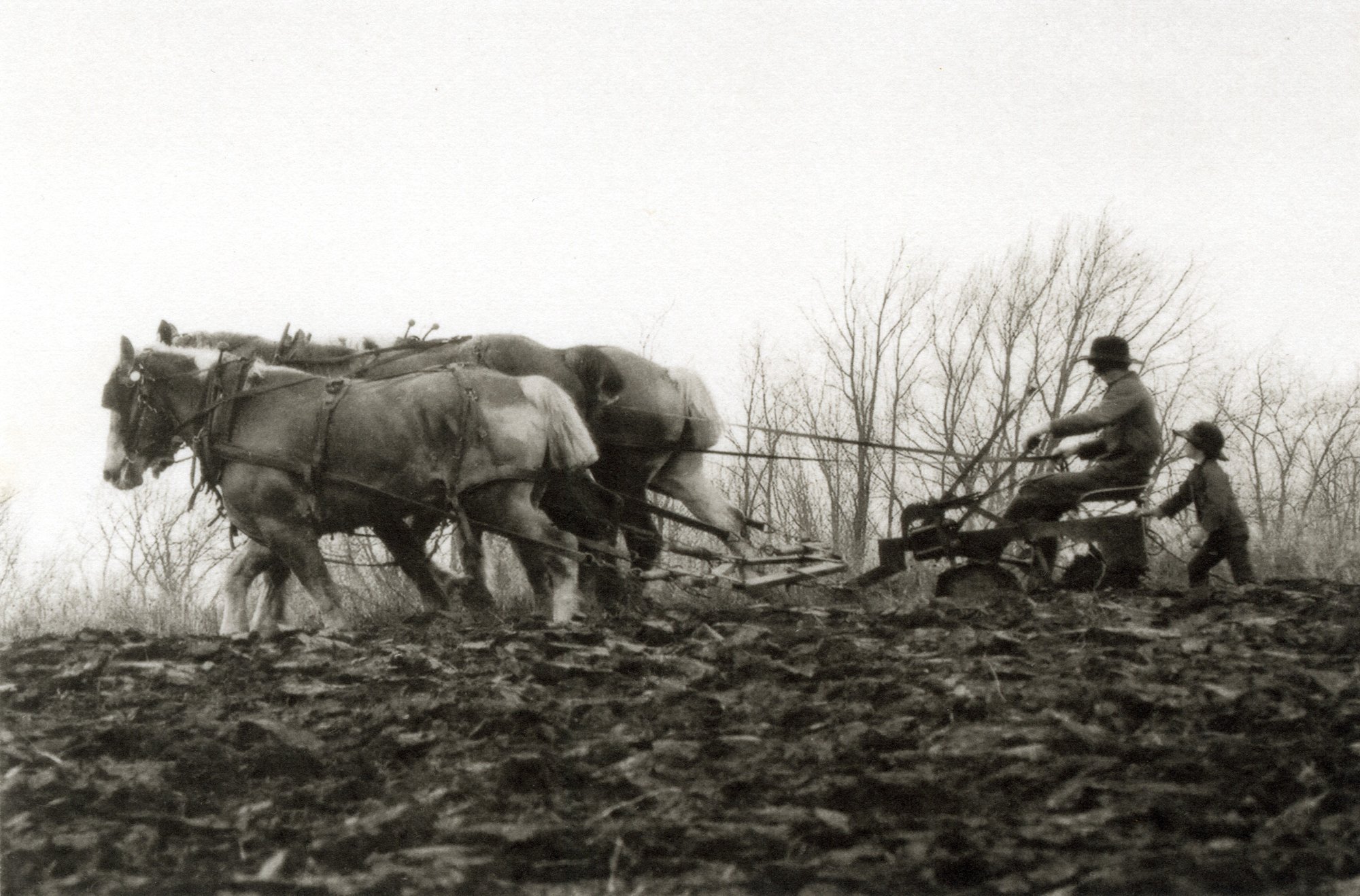 04_Elizabeth Opalenik AF2025 __Following the Plow, 2005.JPG