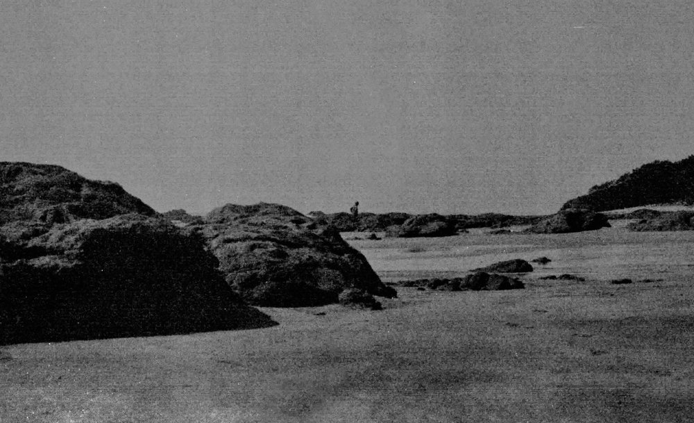 "The Hunt" by Xavier Adams