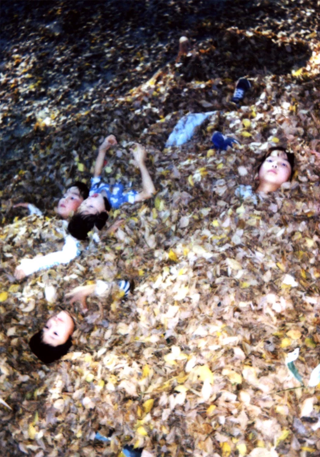 Picnic awry at the Imperial Palace, Kyoto (Sean, 2022).jpg