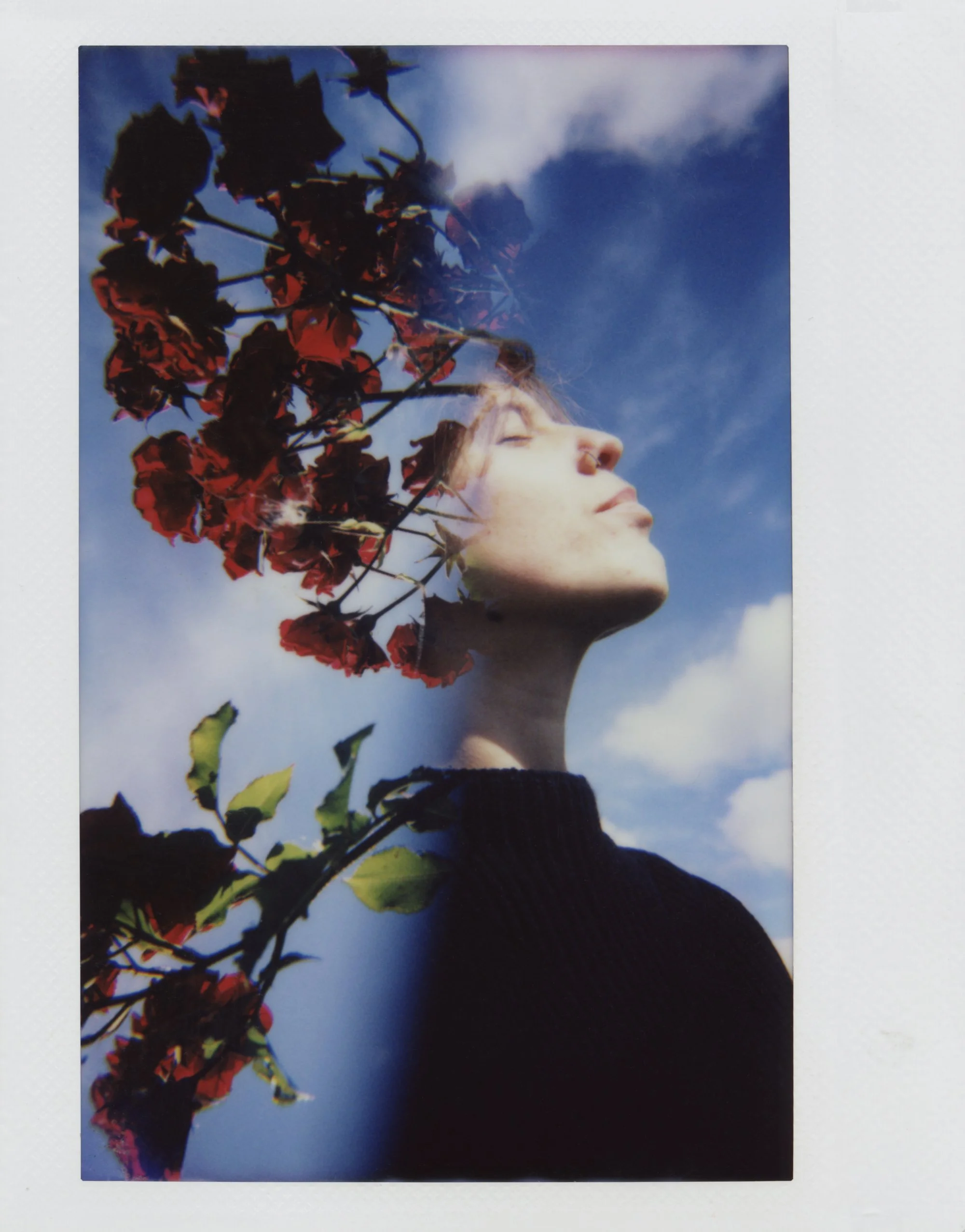 Online Group Exhibition - “Harmony” - Summer 2025