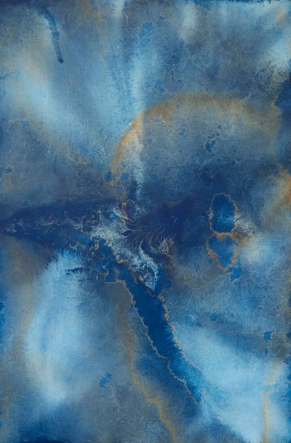 2 - Frost-002F - cb9442c1-42f9-4fe8-9e9c-9878b5f5aa29.jpg