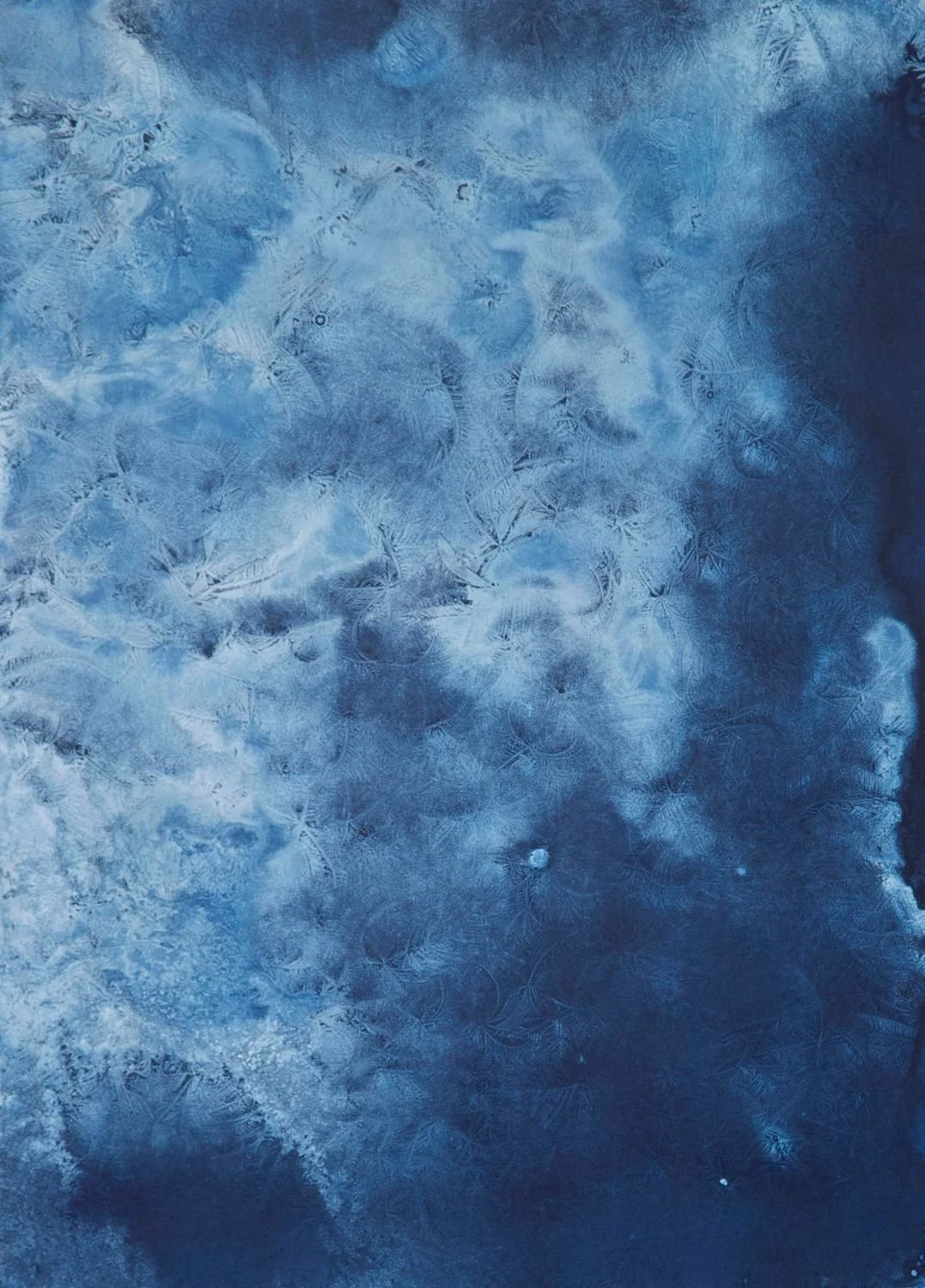 4 - Frost-004F - 1e4a40d4-ed83-4c94-9201-d868eb5746a2.jpg