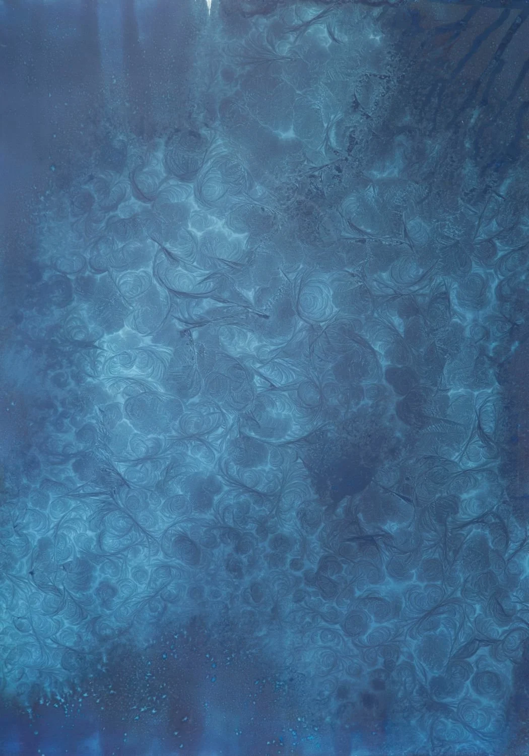 5 - Frost-005F - ae99c7d6-6a20-4b8c-b3ff-1e22adbf51fd.jpg