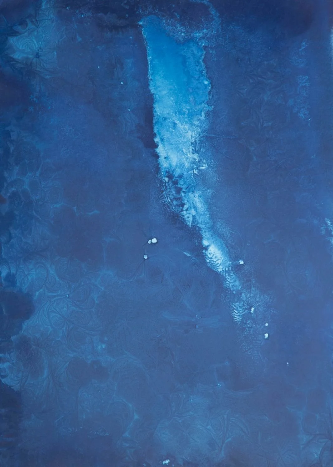 6 - Frost-006F - 5030bd2a-ed2c-4c08-8cf5-88c9b0b45ff7.jpg