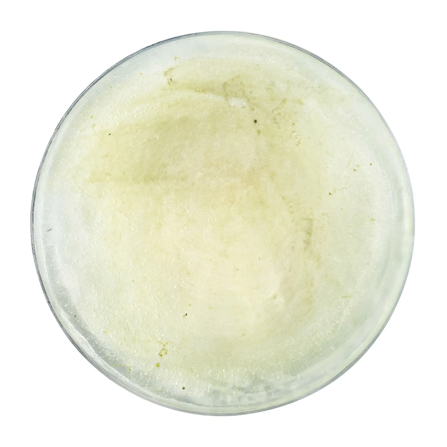 1 - 1_narciso  - d690e6d7-8a68-4774-a55a-e10e29fae519.jpg